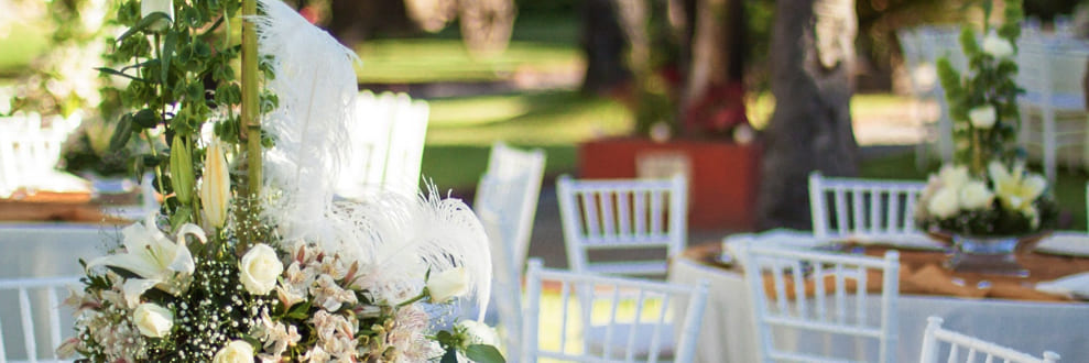 Bodas y Romance En Guadalajara y Sus Alrededores